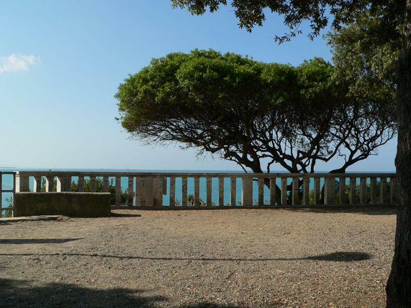 Willa Ghianda Marina Vista Mare Stupenda E 100 Mt Dalla Spiaggia, Accanto Pineta Castiglioncello Zewnętrze zdjęcie